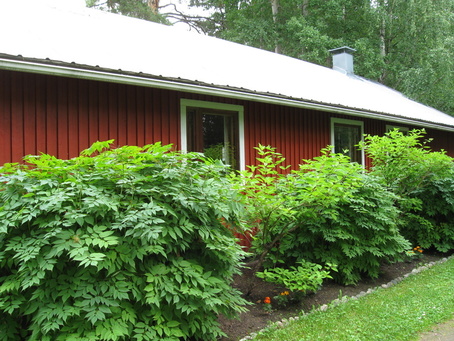 KERHOMAJA NYKYASUSSAAN